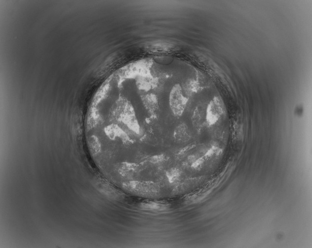 X0000116800561201001081337