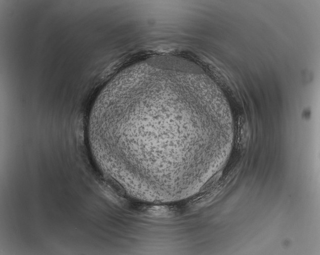 X0000116800562201001081337