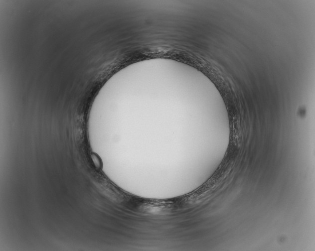 X0000116800563201001081337