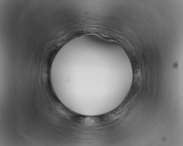 X0000116800566201001081337
