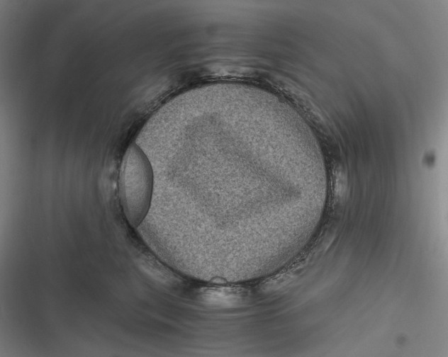 X0000116800567201001081337