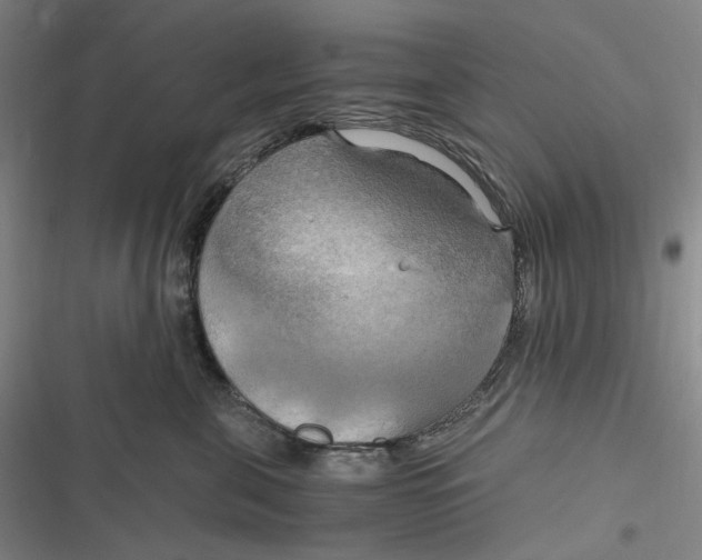 X0000116800571201001081337