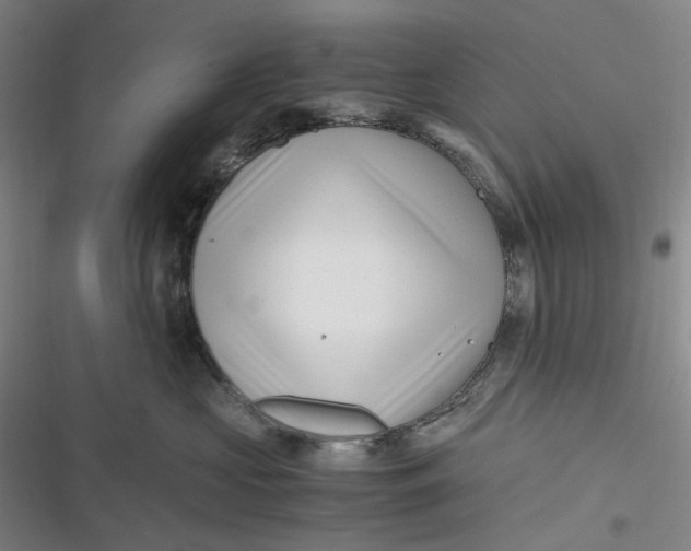 X0000116800573201001081337