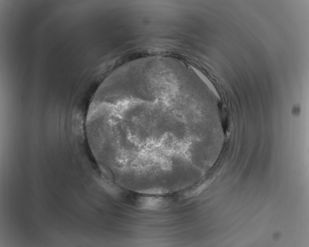 X0000116800575201001081337