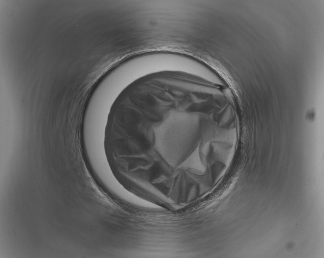 X0000116800577201001081336