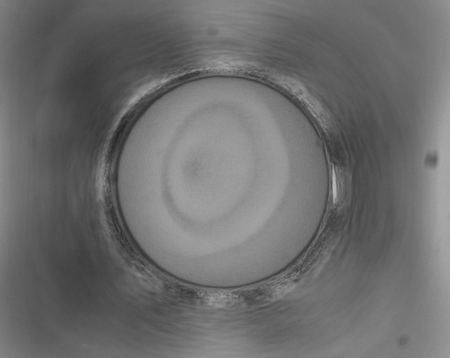 X0000116800579201001081336