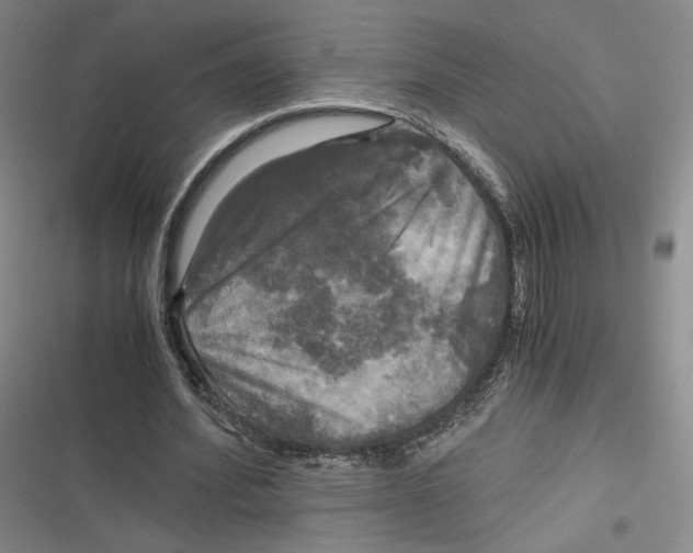 X0000116800580201001081336