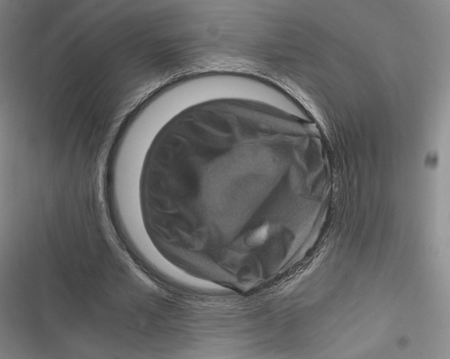 X0000116800581201001081336