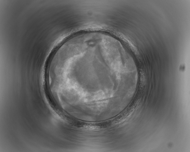 X0000116800582201001081336