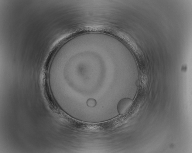 X0000116800583201001081336