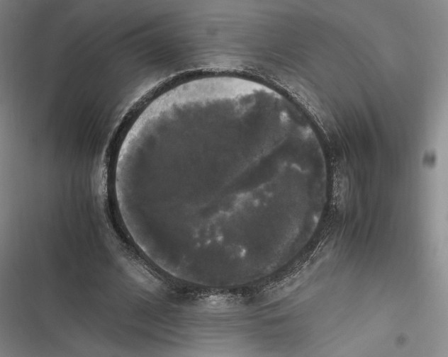 X0000116800584201001081336