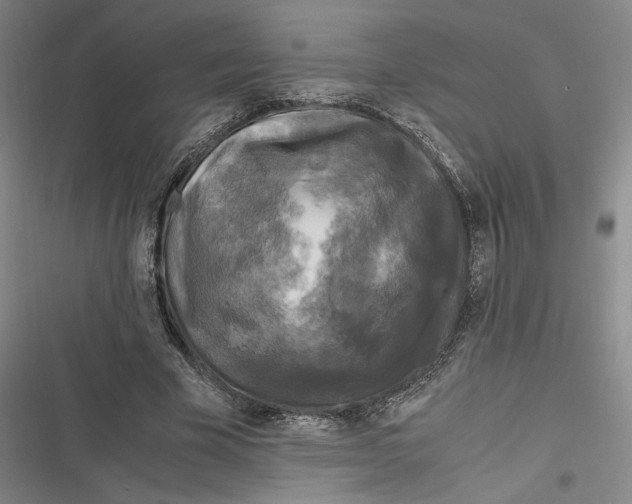 X0000116800585201001081336