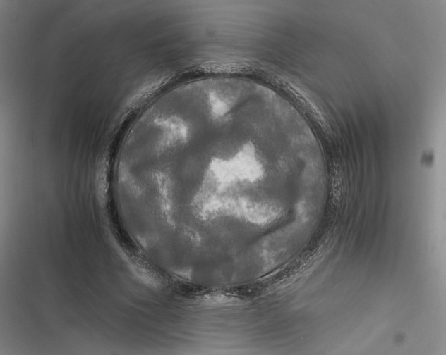 X0000116800586201001081336