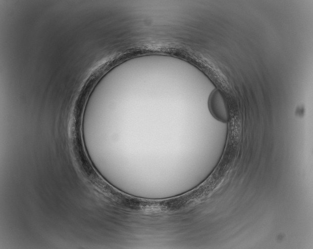 X0000116800587201001081336