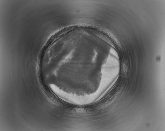X0000116800588201001081336
