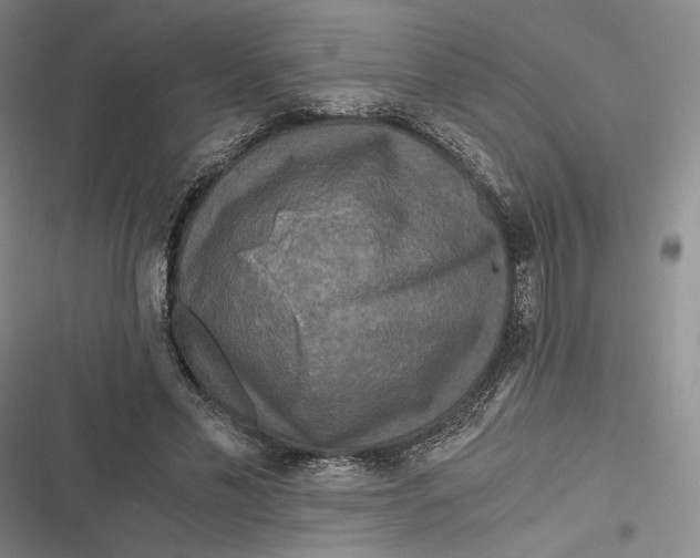 X0000116800589201001081336