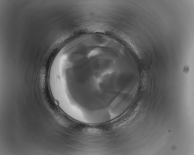 X0000116800590201001081336