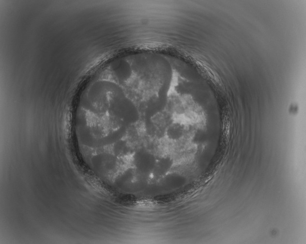 X0000116800591201001081336