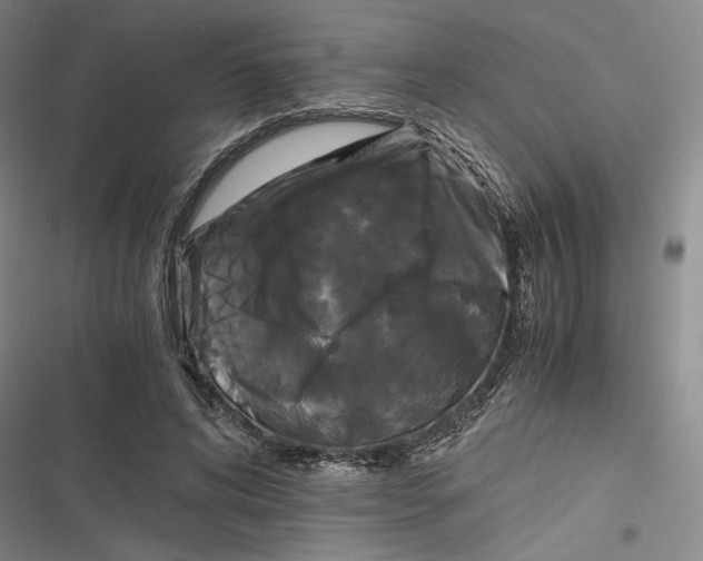 X0000116800592201001081336