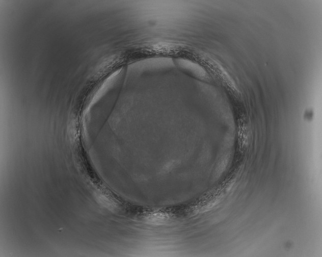 X0000116800593201001081336