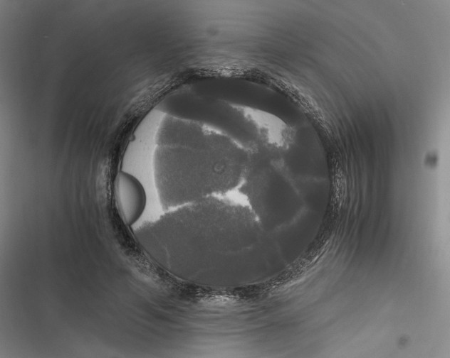 X0000116800594201001081336