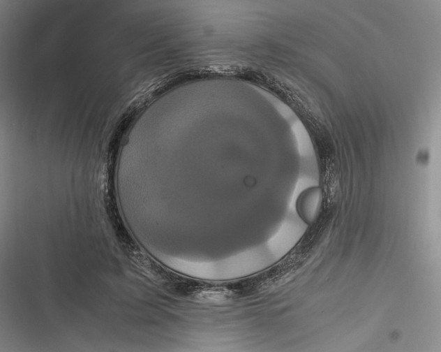 X0000116800595201001081336