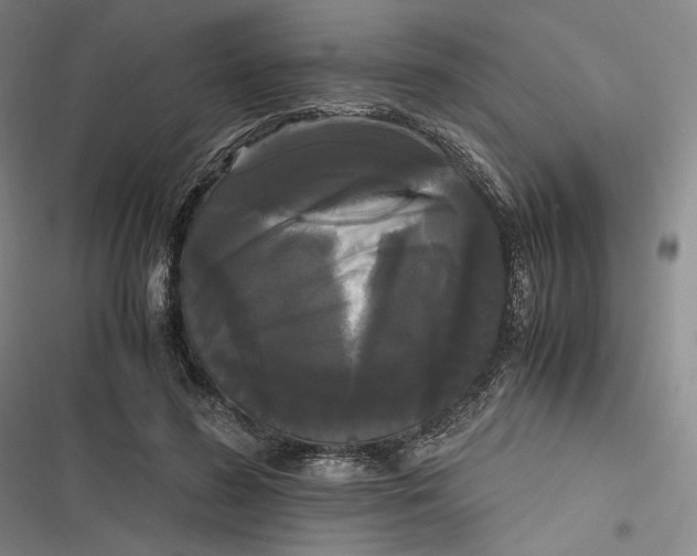 X0000116800596201001081336