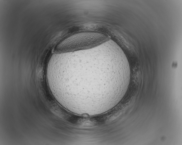 X0000116800597201001081336