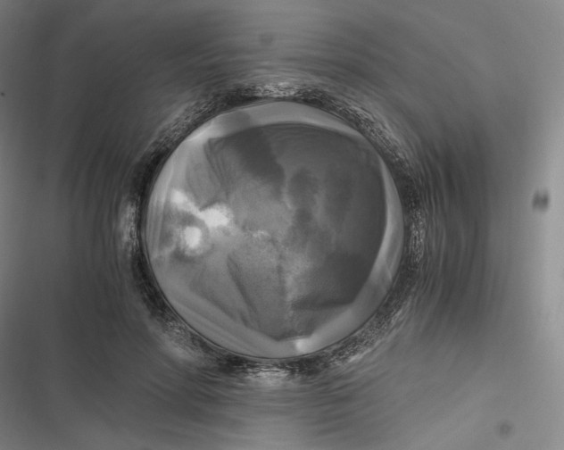 X0000116800598201001081336