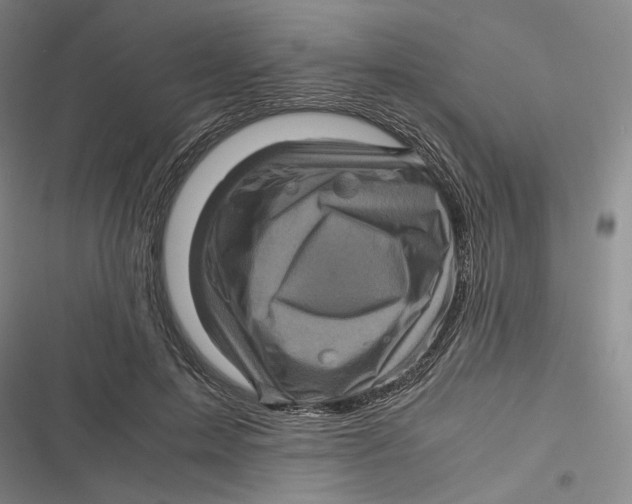 X0000116800599201001081336