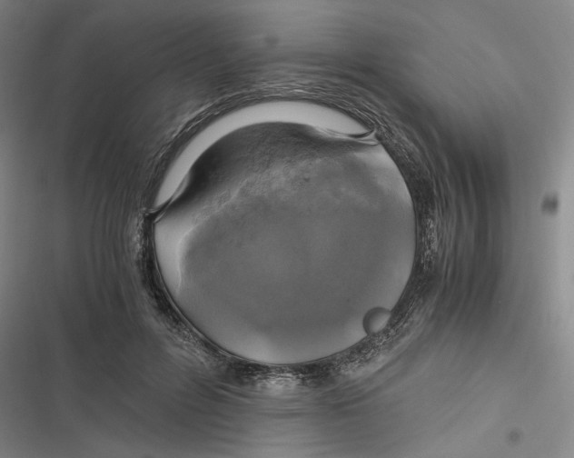 X0000116800600201001081336