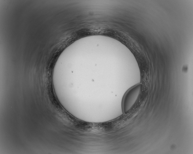 X0000116800601201001081336