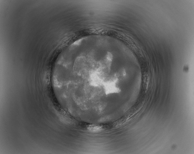 X0000116800602201001081336
