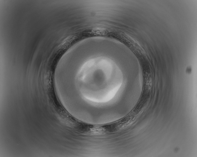 X0000116800603201001081336