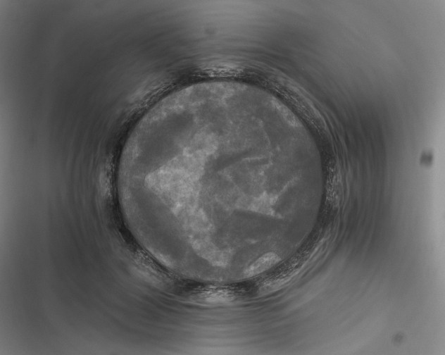 X0000116800604201001081336