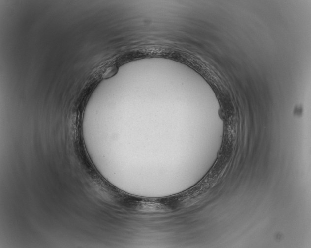 X0000116800605201001081336