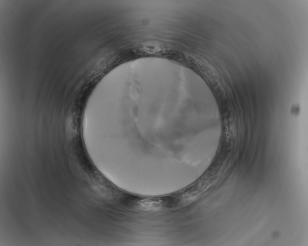 X0000116800606201001081336