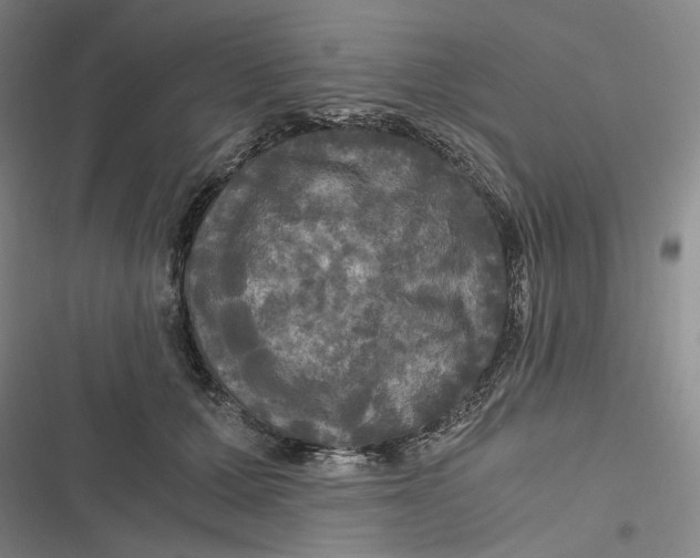 X0000116800607201001081336