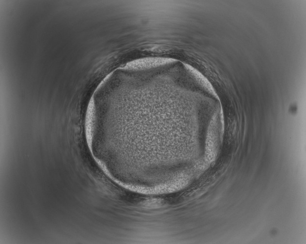 X0000116800609201001081336