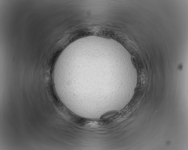 X0000116800611201001081336