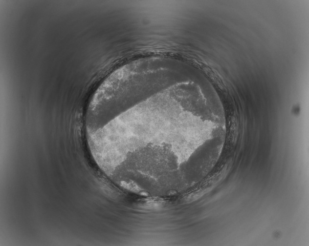X0000116800612201001081336