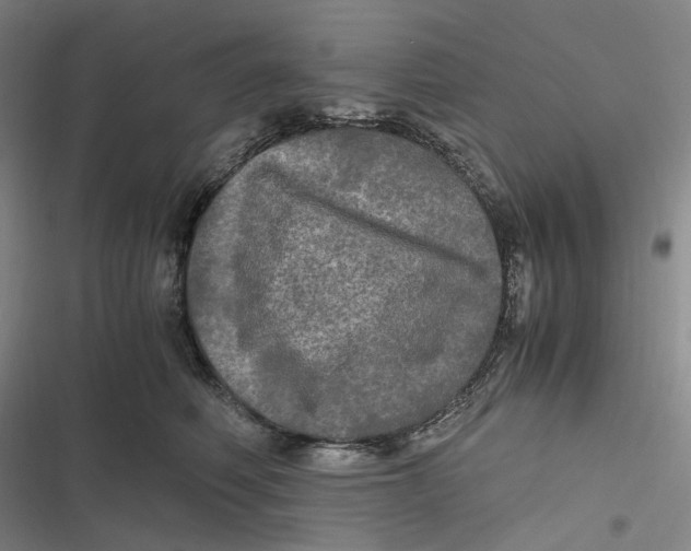 X0000116800614201001081336