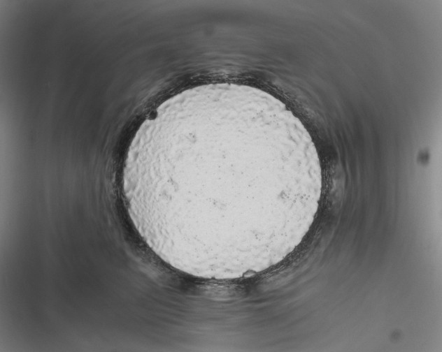 X0000116800615201001081336