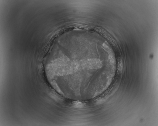 X0000116800616201001081336