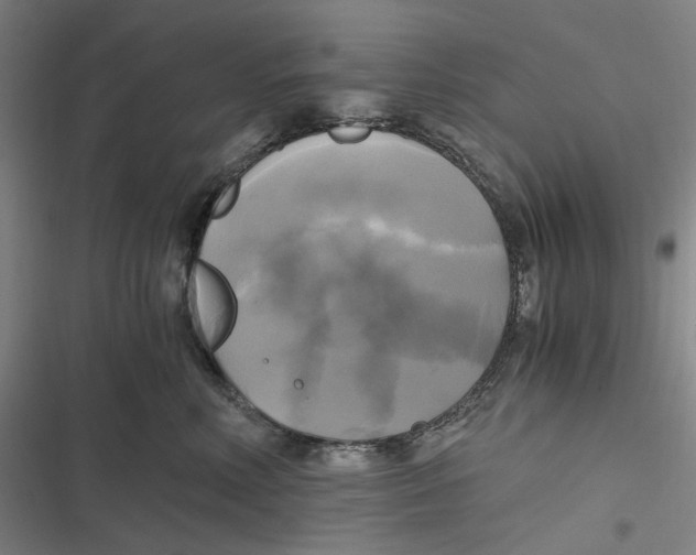 X0000116800618201001081336