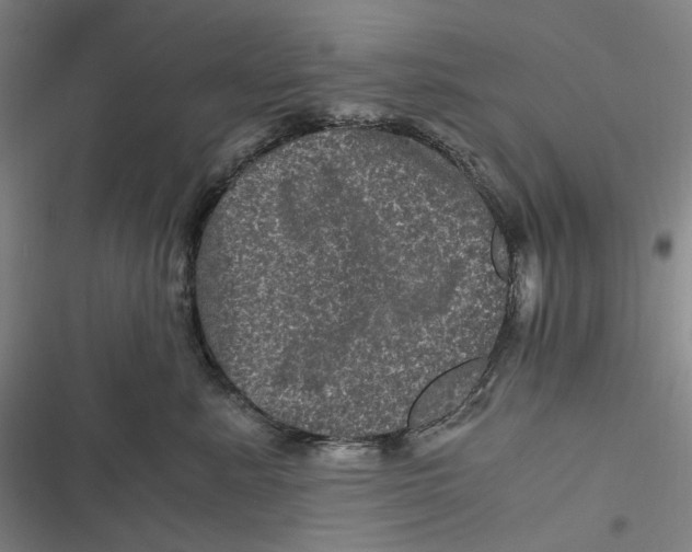 X0000116800619201001081336