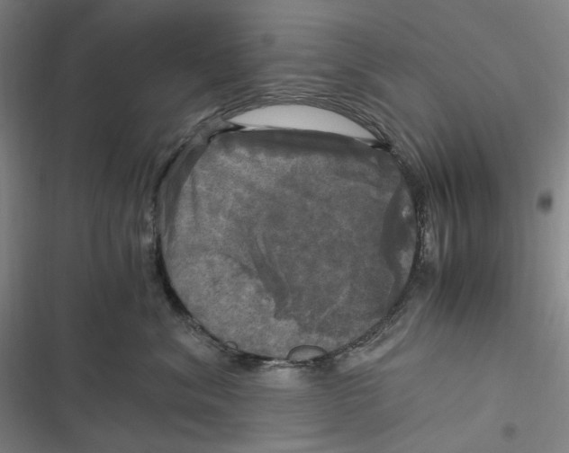 X0000116800620201001081336