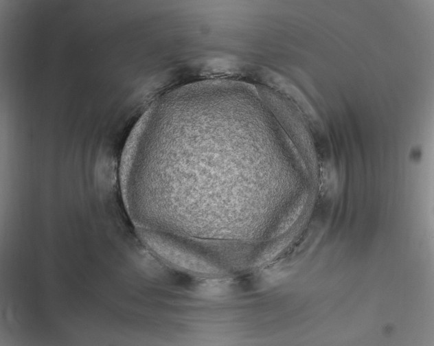 X0000116800621201001081336