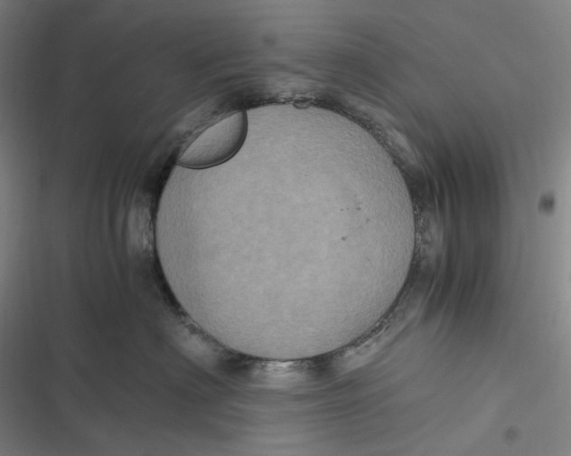 X0000116800622201001081336