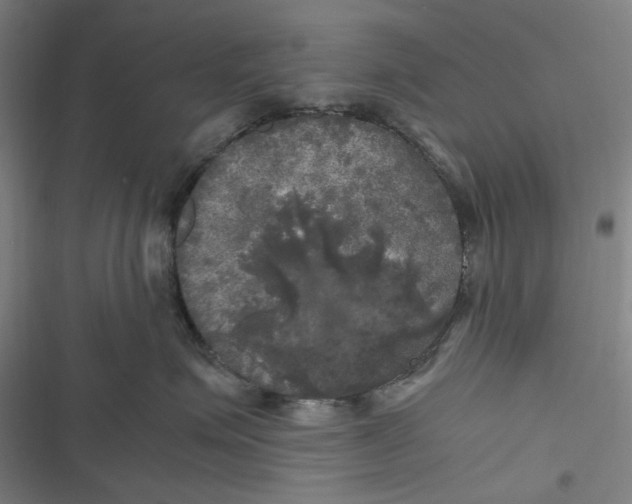 X0000116800623201001081336
